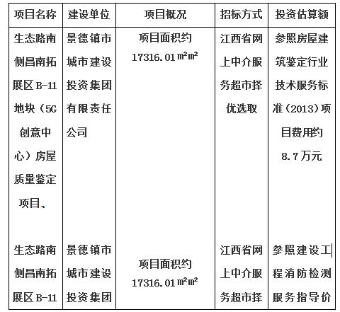 生態(tài)路南側(cè)昌南拓展區(qū)B-11地塊（5G創(chuàng)意中心）房屋質(zhì)量鑒定項目、生態(tài)路南側(cè)昌南拓展區(qū)B-11地塊（5G創(chuàng)意中心）消防安全評估項目計劃公告