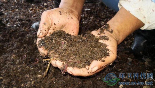 每20噸不值錢的濕垃圾，可以轉(zhuǎn)換成1噸售價在1萬多元的蚯蚓活體