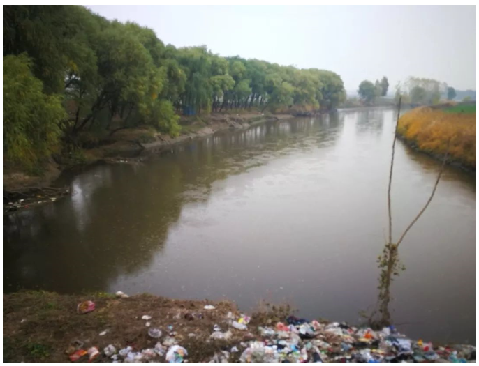 1542853426434071.png 1542853426434071.png