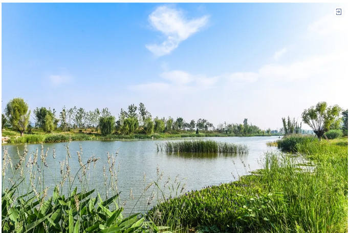 1548380599444789.png image.png